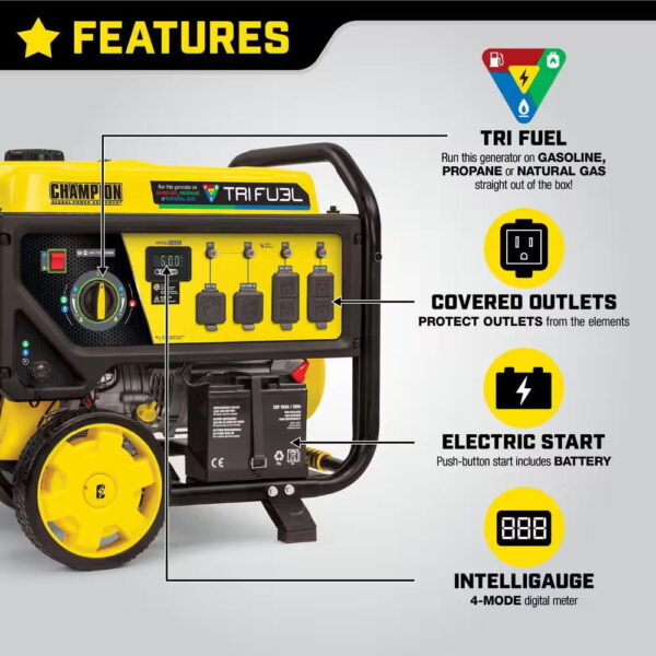 Champion Power Equipment 10,000/8,000-Watt Electric Start Gasoline Propane and Natural Gas Tri-Fuel Portable Generator, CO Shield, NG/LPG Hoses