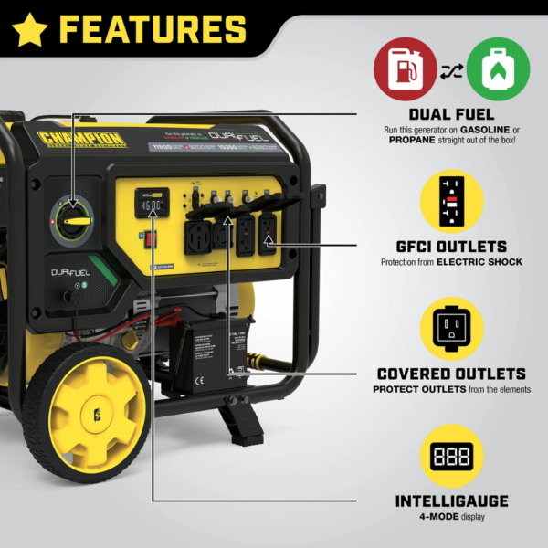 Champion Power Equipment 11,500-Watt Dual Fuel Portable Generator, Electric Star